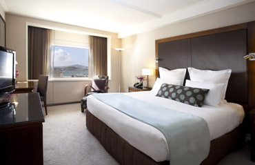 A hotel room with a large bed, window, desk, chair, and TV.